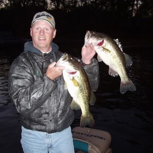 Meet your Posher, Gilbert